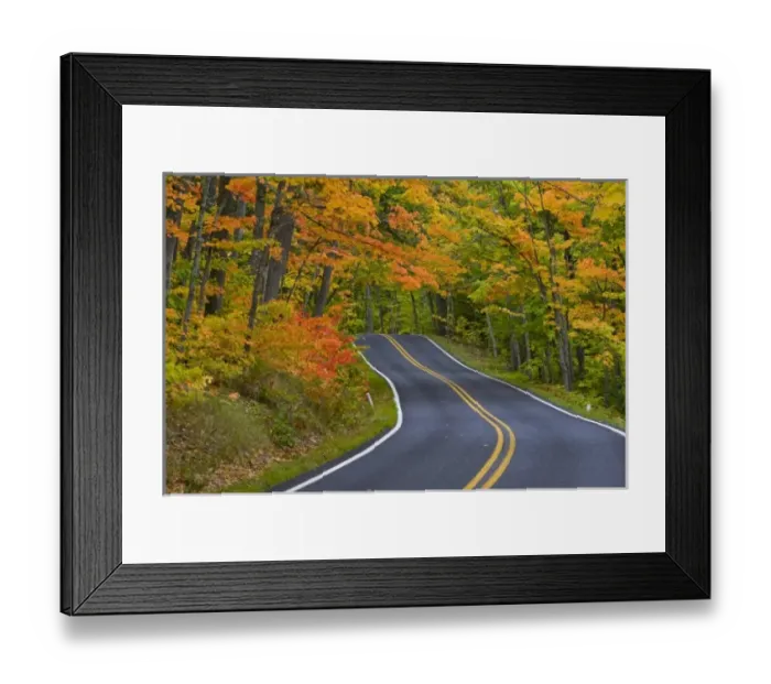 Framed Print : Colorful maple trees in autumn line scenic Highway 41 as it leads into Copper Harbor