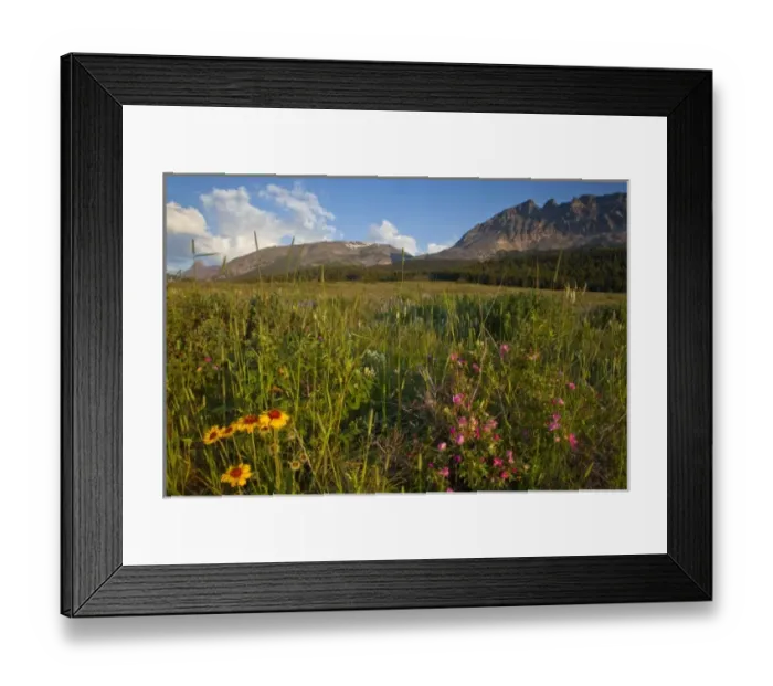 Framed Print : USA, North America, Montana Framed Print : USA, North America, Montana