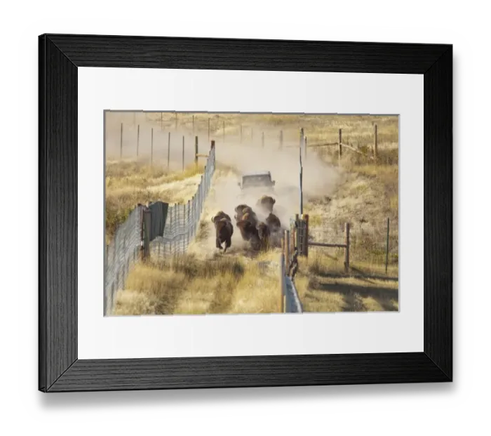 Framed Print : USA, North America, Montana Framed Print : USA, North America, Montana