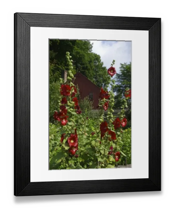 Framed Print : USA, North America, Massachusetts Framed Print : USA, North America, Massachusetts