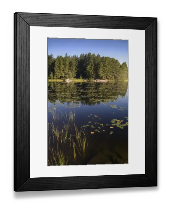 Framed Print : USA, North America, Minnesota Framed Print : USA, North America, Minnesota