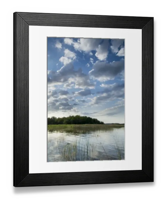 Framed Print : Sunrise from Wolf Island, Kabetogama Lake, Voyageurs National Park, Minnesota, USA Framed Print : Sunrise from Wolf Island, Kabetogama Lake, Voyageurs National Park, Minnesota, USA