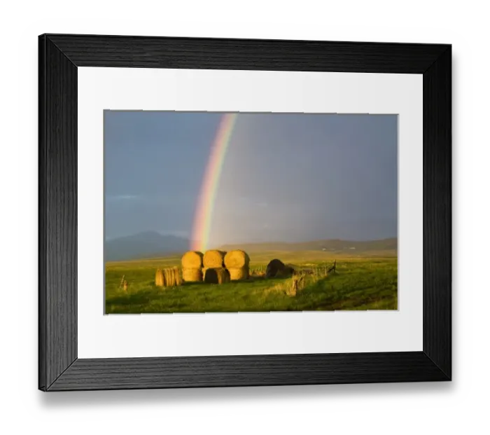 Framed Print : Briiliant rainbow over hay bales along the Judith mountain Range near Lewistown Montana Framed Print : Briiliant rainbow over hay bales along the Judith mountain Range near Lewistown Montana