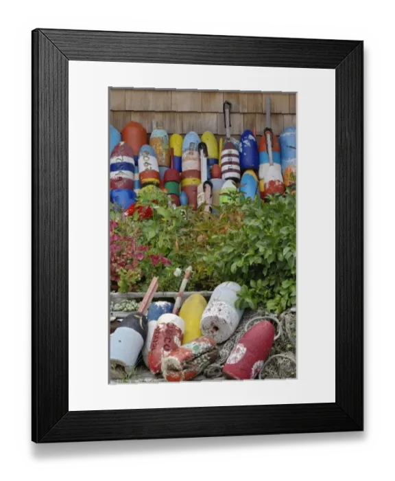 Framed Print : Colorful buoys, Rockport, Cape Ann, Massachusetts Framed Print : Colorful buoys, Rockport, Cape Ann, Massachusetts