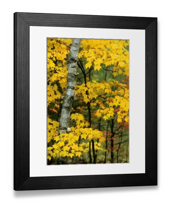 Framed Print : USA, North America, Michigan Framed Print : USA, North America, Michigan