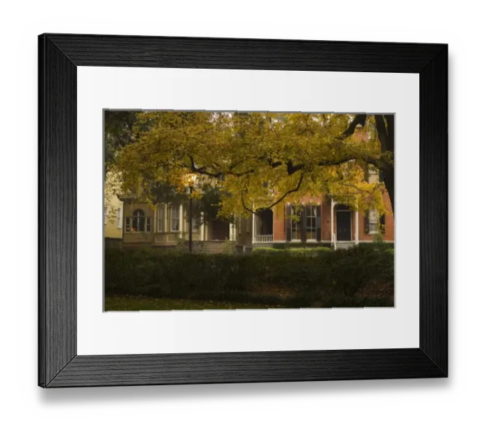 Framed Print : USA; Georgia; Savannah. A view of homes in the historic district of Savannah