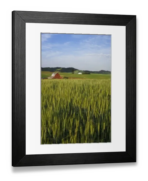 Framed Print : USA, North America, Idaho