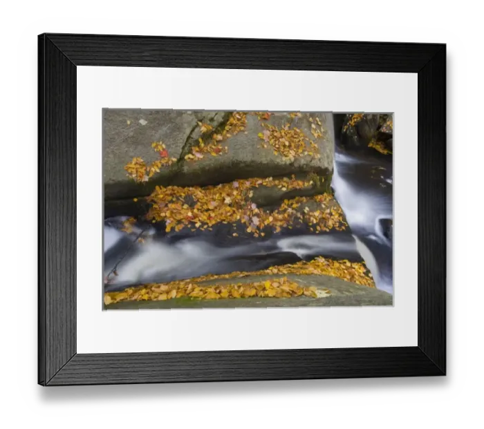 Framed Print : USA, North America, Massachusetts Framed Print : USA, North America, Massachusetts