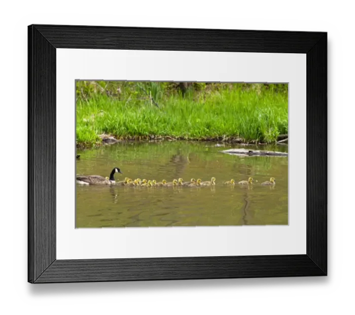Framed Print : USA, North America, Illinois