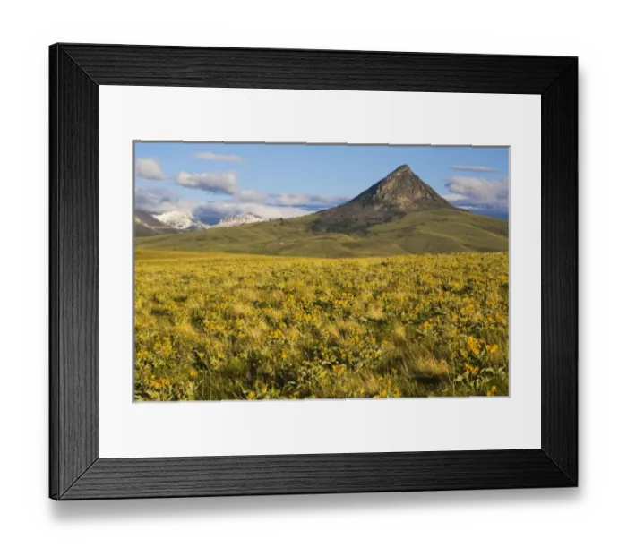Framed Print : USA, North America, Montana