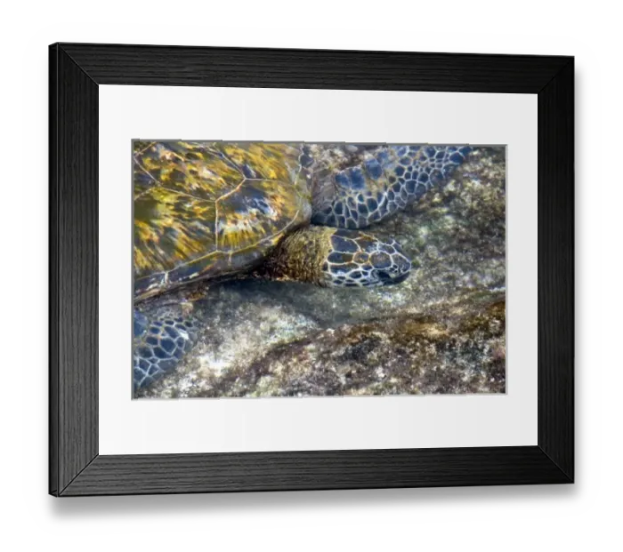 Framed Print : USA, North America, Hawaii Framed Print : USA, North America, Hawaii
