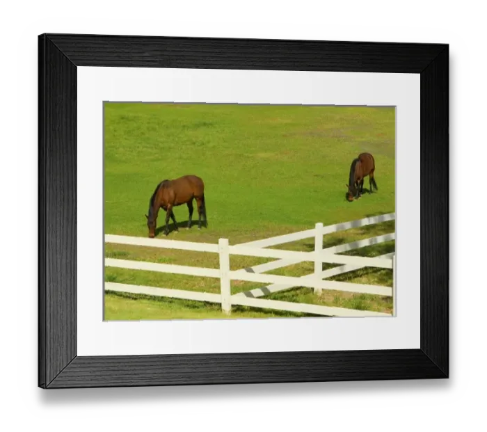 Framed Print : USA, North America, Nevada Framed Print : USA, North America, Nevada