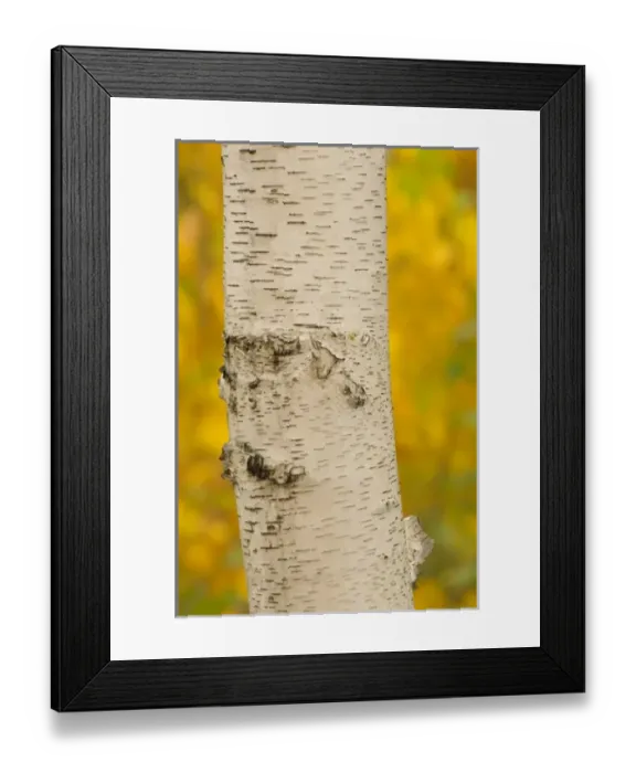 Framed Print : USA, North America, New Hampshire