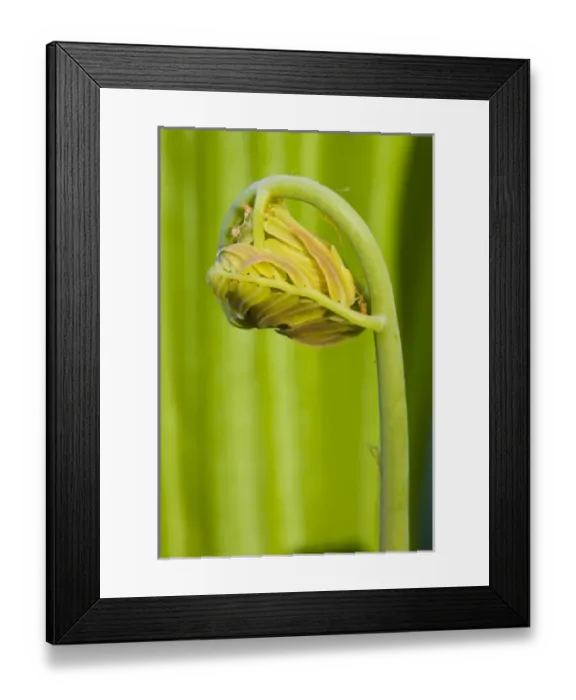 Framed Print : USA, North America, New Hampshire Framed Print : USA, North America, New Hampshire