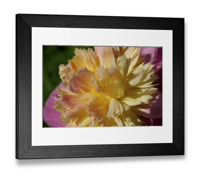 Framed Print : USA, North America, Massachusetts Framed Print : USA, North America, Massachusetts