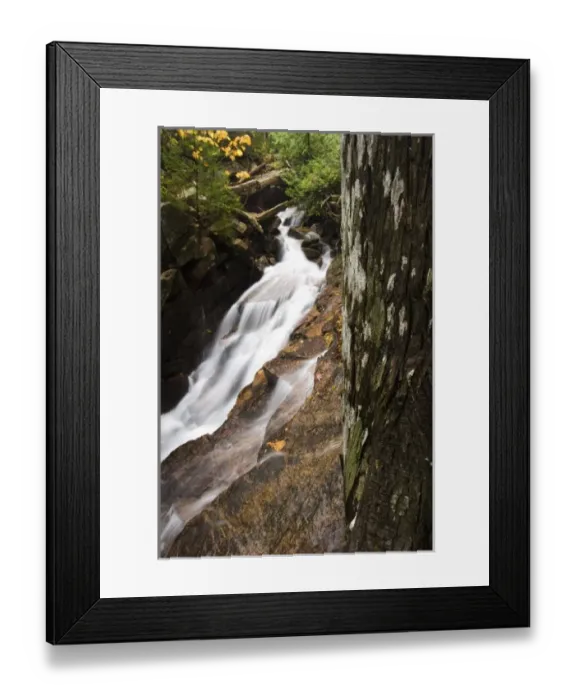 Framed Print : USA, North America, Maine Framed Print : USA, North America, Maine