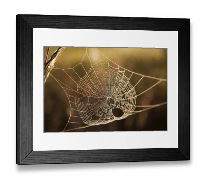 Framed Print : USA, North America, Montana