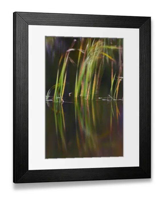Framed Print : USA, North America, Maine Framed Print : USA, North America, Maine