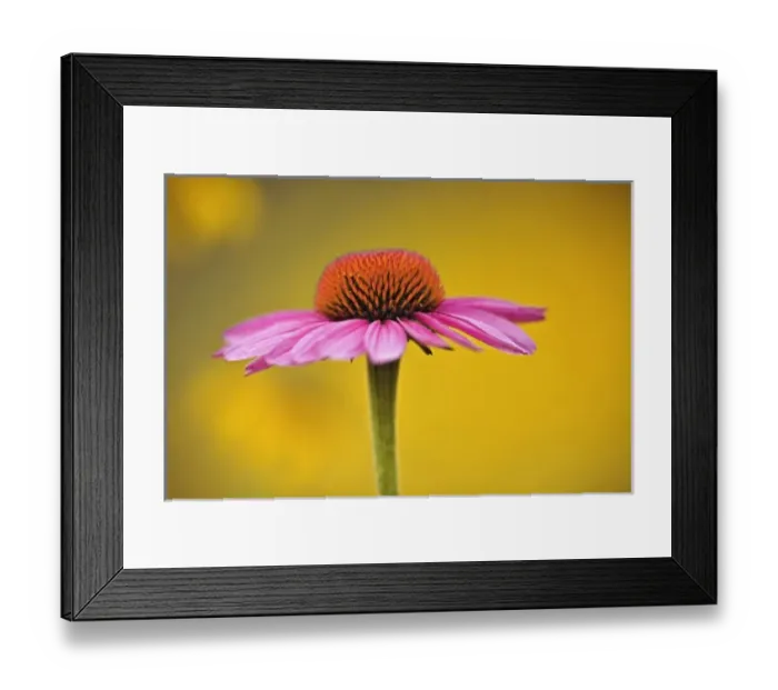 Framed Print : USA, North America, Kentucky Framed Print : USA, North America, Kentucky