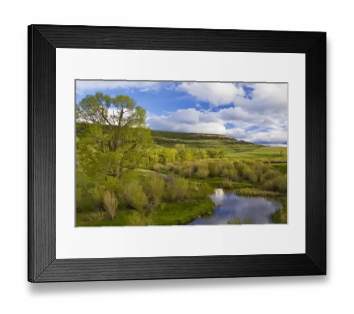 Framed Print : USA, North America, Montana Framed Print : USA, North America, Montana