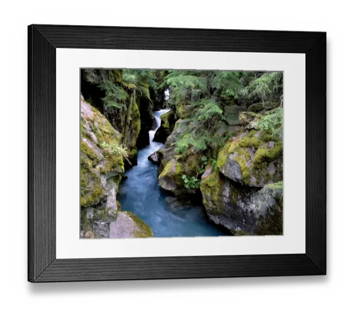 Framed Print : USA, Montana, Glacier NP. The ice blue waters of Avalanche Creek cut through a corridor Framed Print : USA, Montana, Glacier NP. The ice blue waters of Avalanche Creek cut through a corridor