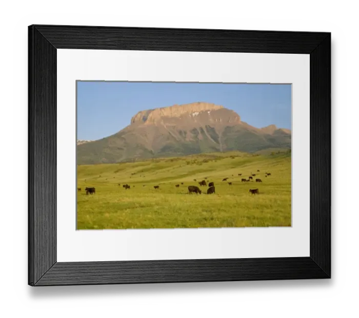 Framed Print : USA, North America, Montana Framed Print : USA, North America, Montana