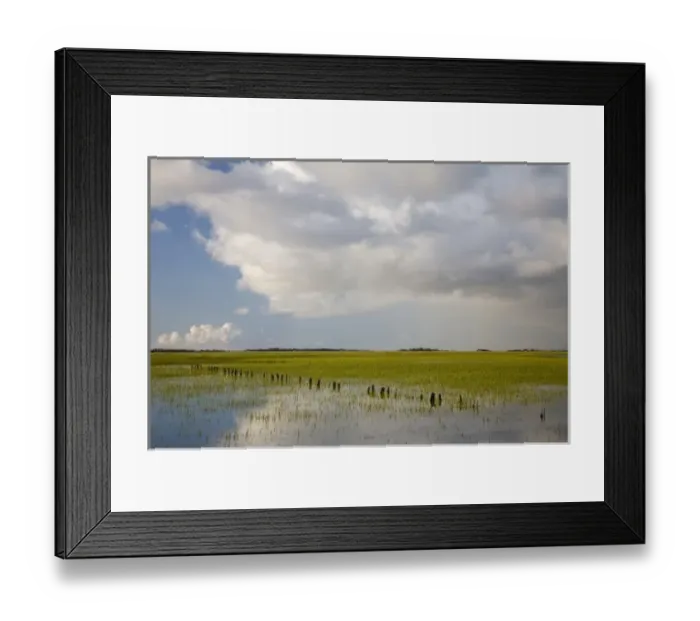 Framed Print : USA, North America, Georgia Framed Print : USA, North America, Georgia