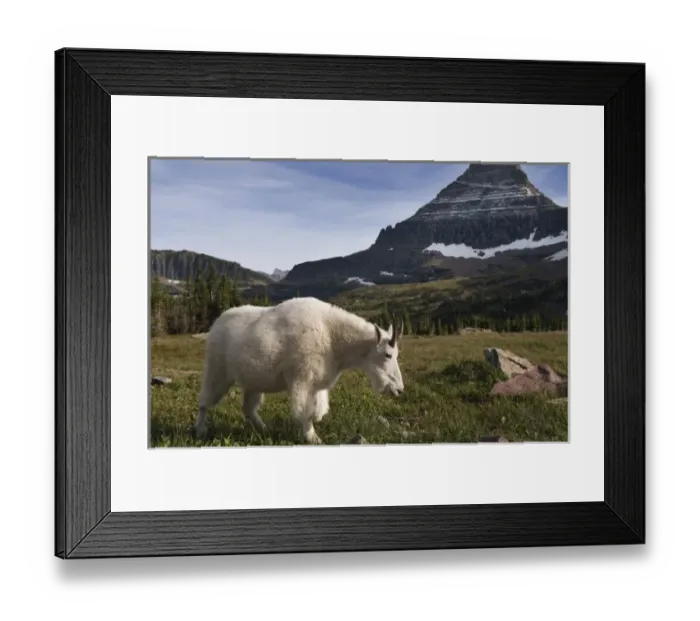 Framed Print : USA, North America, Montana Framed Print : USA, North America, Montana
