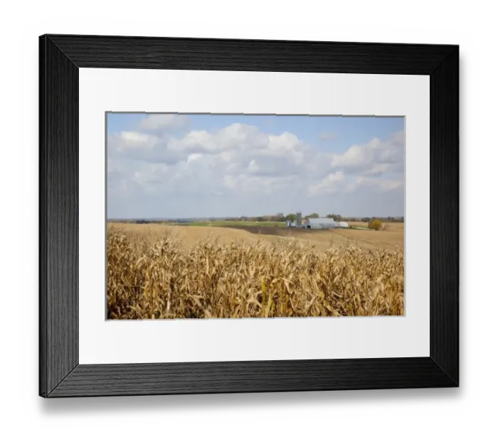 Framed Print : USA, North America, Iowa Framed Print : USA, North America, Iowa