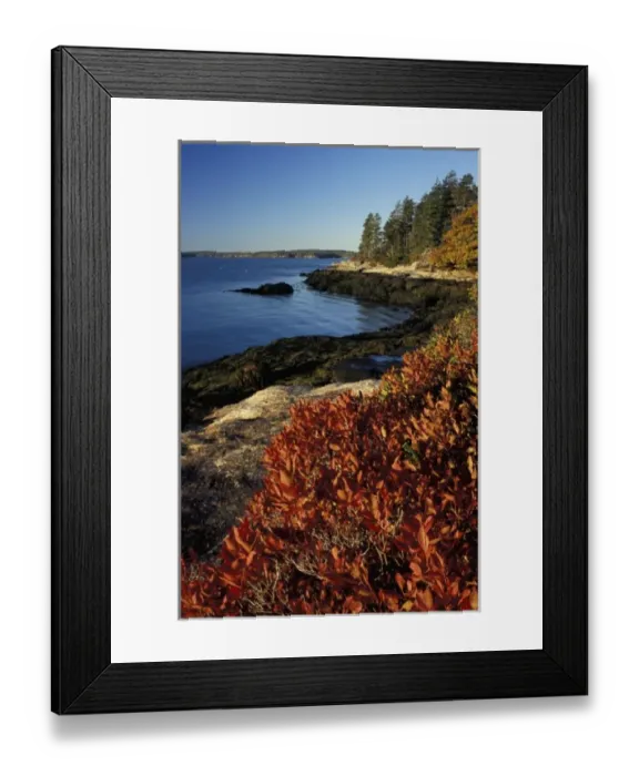 Framed Print : Barters Island, Boothbay, ME. Fall at the Porter Preserve on the Sheepscot River