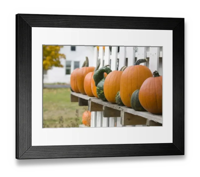 Framed Print : USA, North America, Michigan