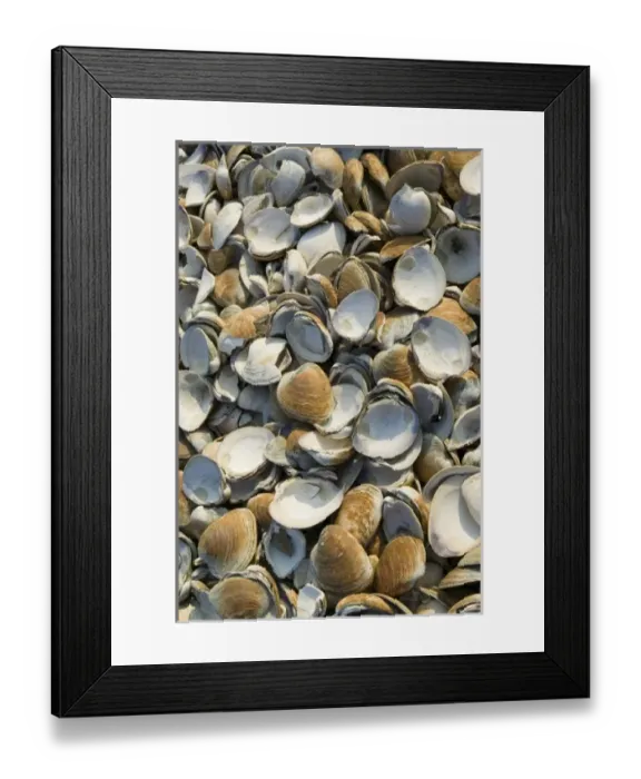 Framed Print : USA, North America, Massachusetts Framed Print : USA, North America, Massachusetts