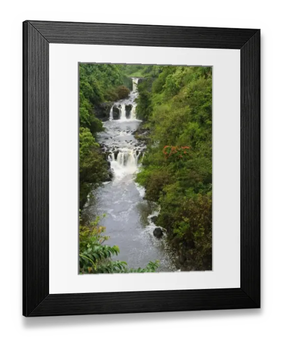 Framed Print : Big Island, Hawaii. Umauma Falls World Botanical Garden Hilo The Big Island Hawaii Framed Print : Big Island, Hawaii. Umauma Falls World Botanical Garden Hilo The Big Island Hawaii