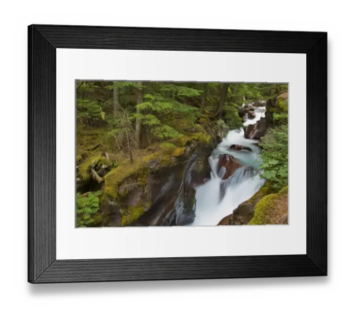 Framed Print : Avalanche Creek Gorge in Glacier National Park in Montana Framed Print : Avalanche Creek Gorge in Glacier National Park in Montana