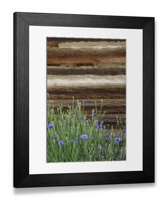 Framed Print : USA, North America, Idaho