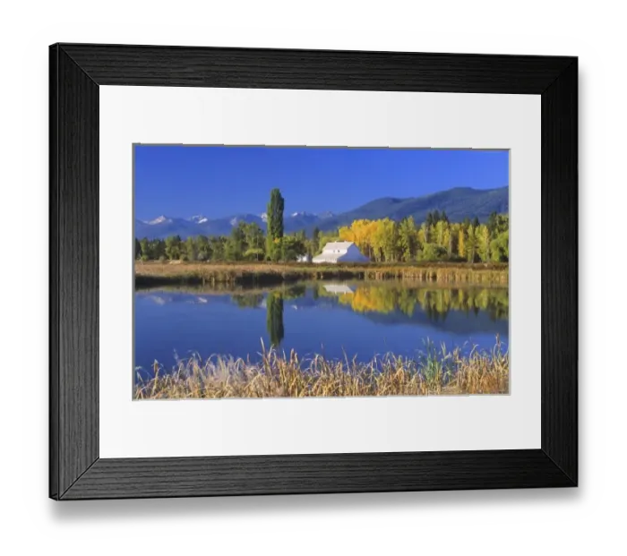 Framed Print : A white barn and beautiful fall foliage is reflected in pond at the Lee Metcalf National Framed Print : A white barn and beautiful fall foliage is reflected in pond at the Lee Metcalf National