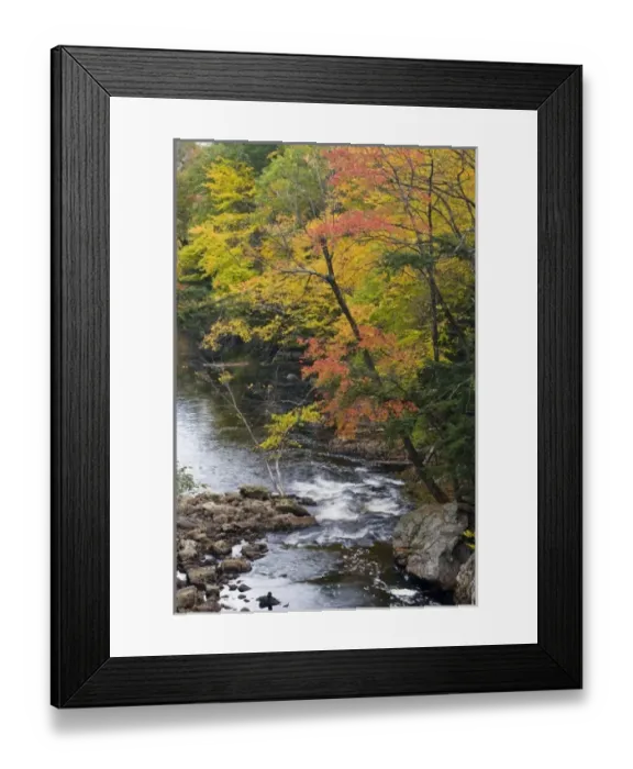 Framed Print : USA, North America, Maine Framed Print : USA, North America, Maine