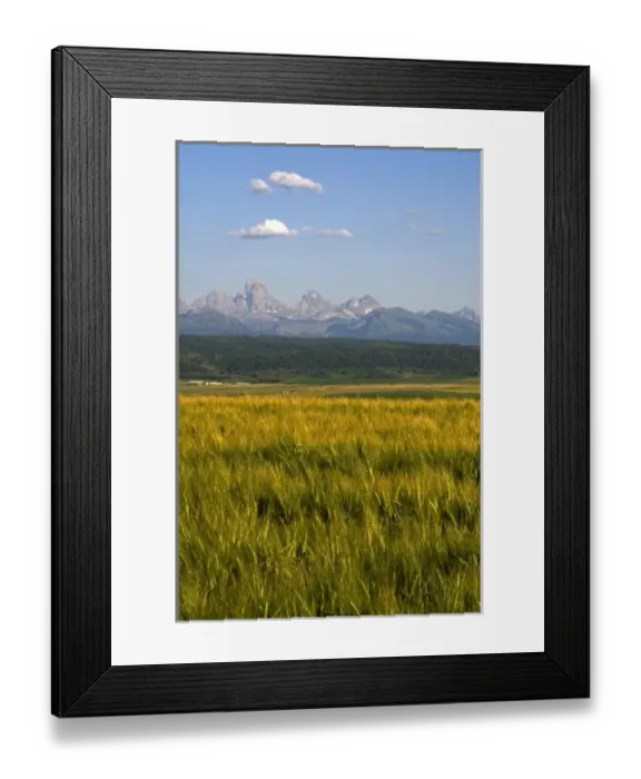 Framed Print : USA, North America, Idaho Framed Print : USA, North America, Idaho