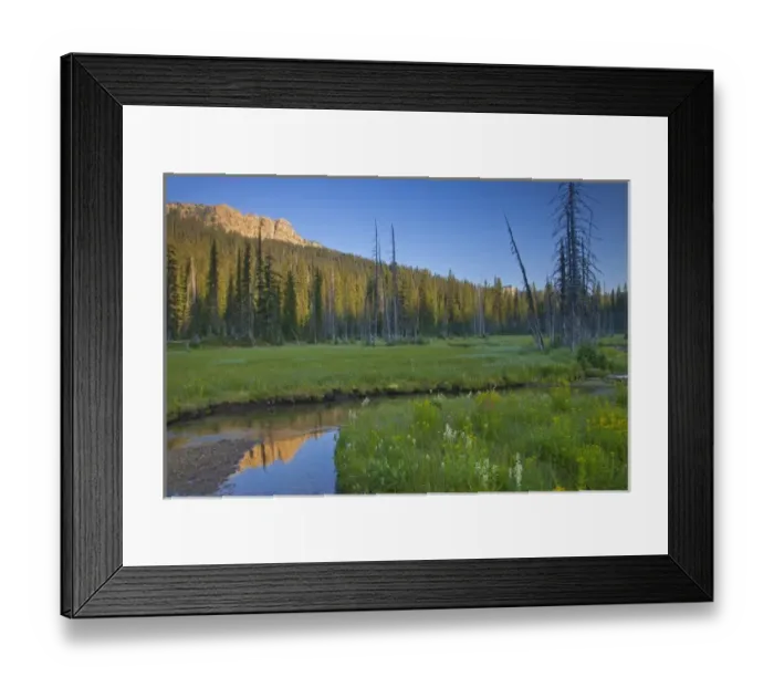 Framed Print : Big Therriault Creek runs through lush summer meadow below St Clair Peak in the Ten Framed Print : Big Therriault Creek runs through lush summer meadow below St Clair Peak in the Ten