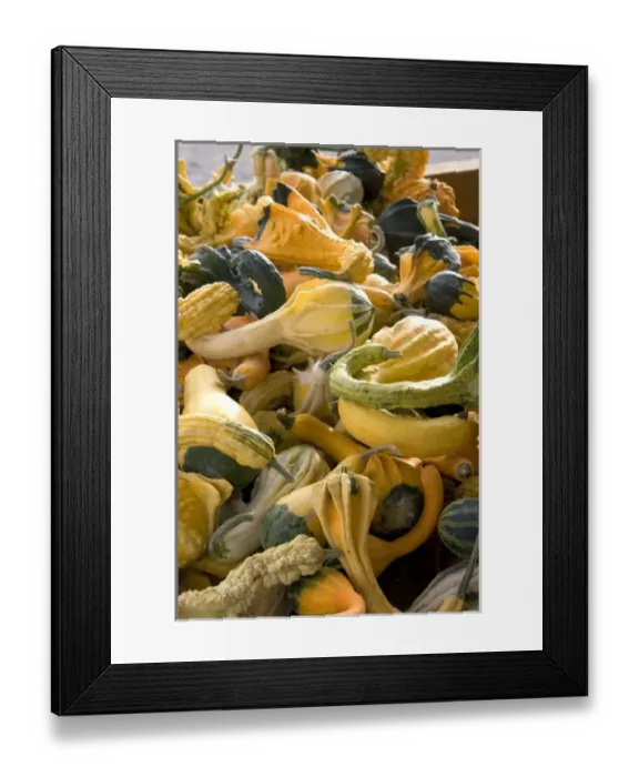 Framed Print : USA, North America, Idaho Framed Print : USA, North America, Idaho