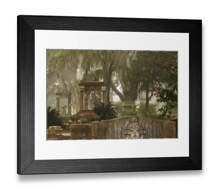 Framed Print : USA, North America, Georgia