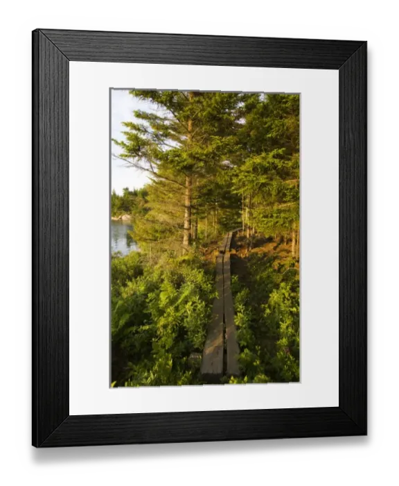 Framed Print : USA, North America, Maine Framed Print : USA, North America, Maine