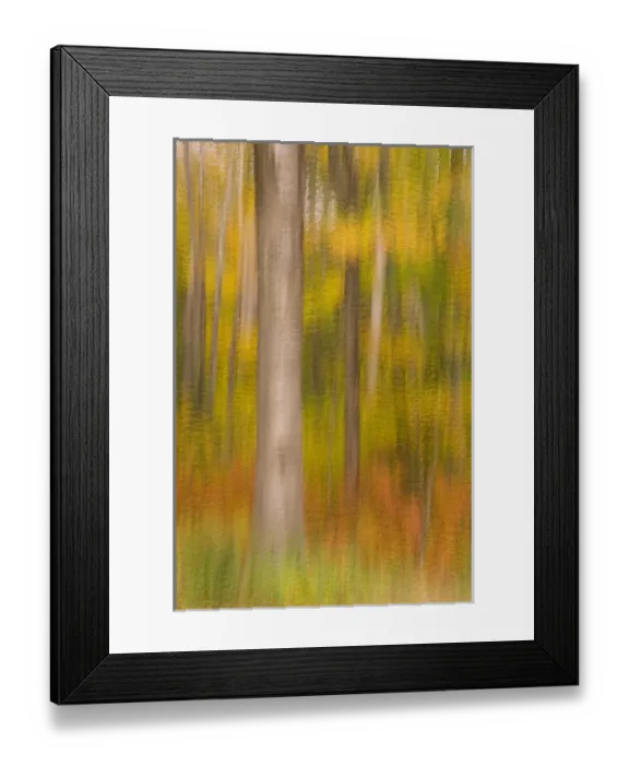 Framed Print : USA, North America, New Hampshire