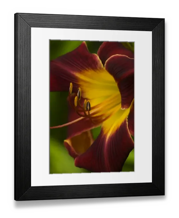 Framed Print : USA, North America, Georgia