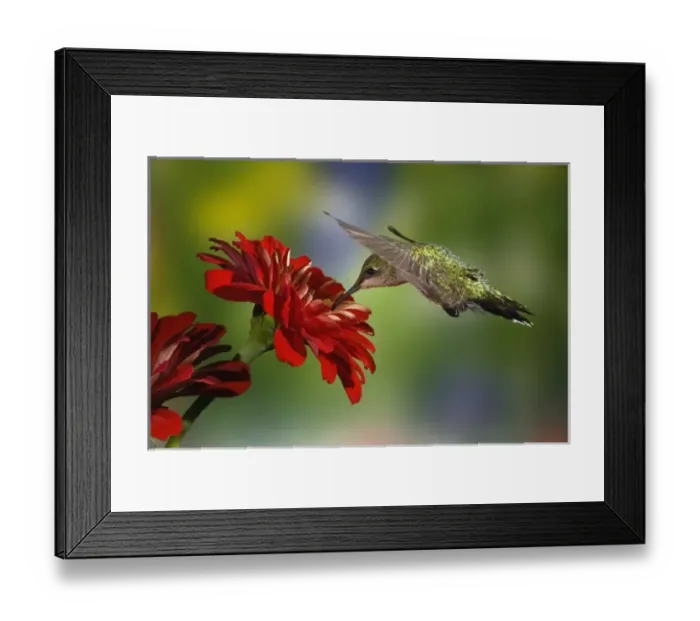 Framed Print : USA, North America, Kentucky