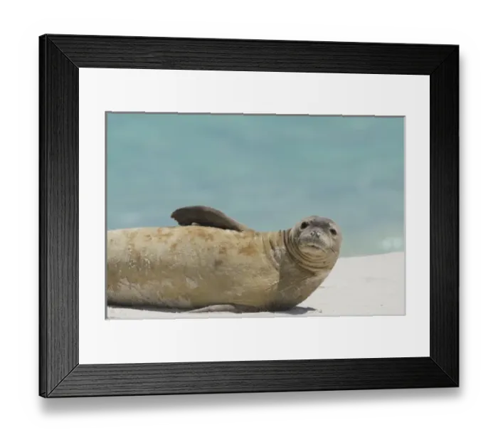Framed Print : USA, North America, Hawaii Framed Print : USA, North America, Hawaii