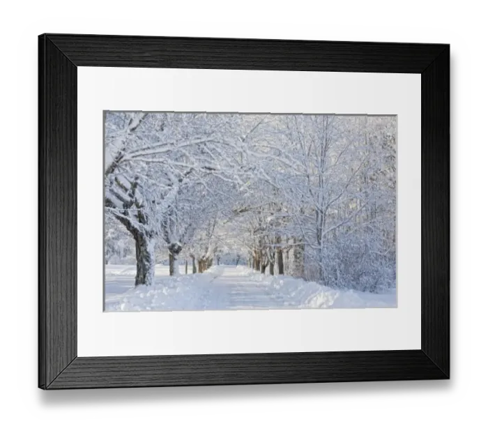 Framed Print : USA, Maine, Harpswell. Heavy snowfall on Bear Paw Road Framed Print : USA, Maine, Harpswell. Heavy snowfall on Bear Paw Road