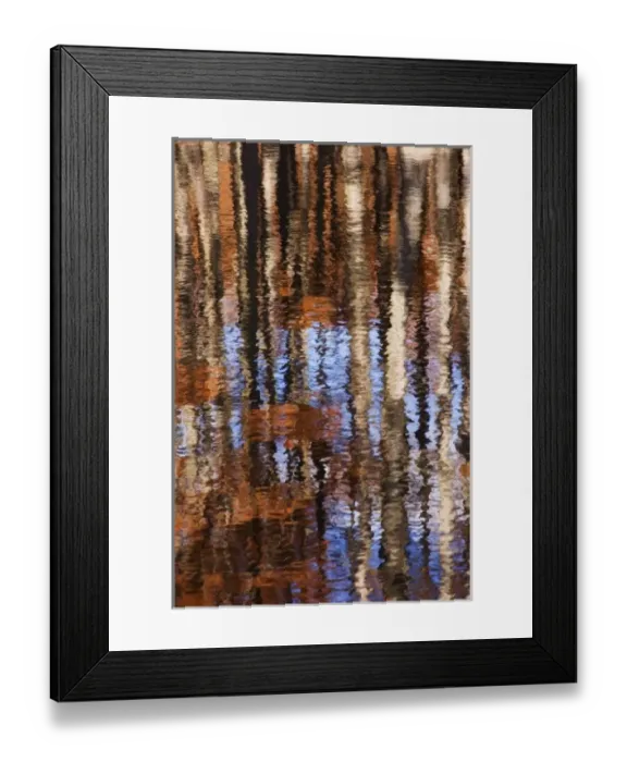 Framed Print : USA, Georgia, George Smith State Park, Reflections of cypress trees in the fall Framed Print : USA, Georgia, George Smith State Park, Reflections of cypress trees in the fall