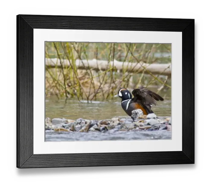 Framed Print : USA, North America, Montana Framed Print : USA, North America, Montana