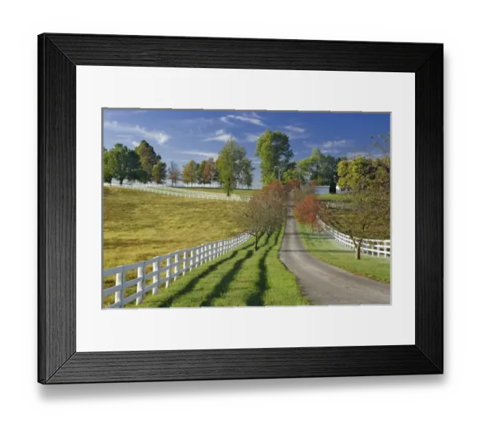 Framed Print : Driveway, Manchester Horse farm, Lexington, Kentucky Framed Print : Driveway, Manchester Horse farm, Lexington, Kentucky